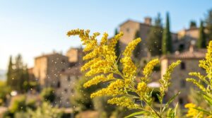 scopri le piante italiane che rilasciano più pollini irritanti durante le allergie primaverili e come proteggerti dai sintomi fastidiosi.