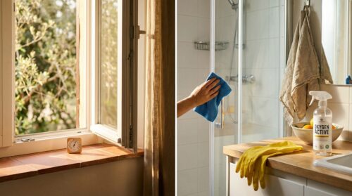 Muffa in bagno e cucina : ventilazione, umidità e detersivi davvero efficaci secondo un chimico